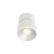 Lampa sufitowa Pitcher NO2310400101 - Nordlux